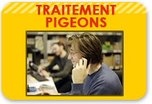 traitement pigeon